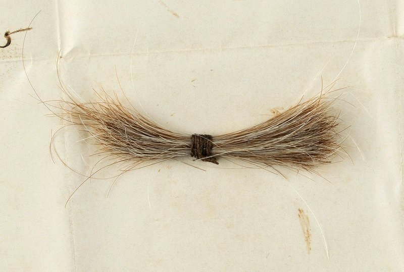 Lock of Abraham Lincoln's hair sells for more than $81,000