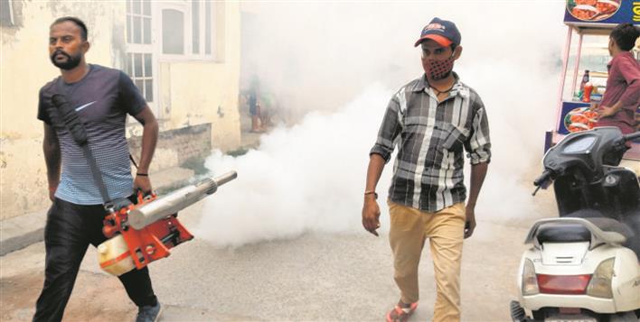 Municipal Corporation seeks public cooperation to tackle dengue in Patiala