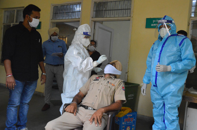 7 succumb to virus, death toll 695 in Ludhiana