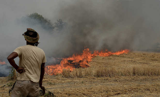 15 farmers fined for stubble burning