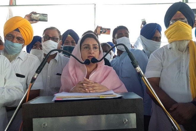 Day after exiting NDA, Harsimrat lashes out at Centre over agri laws