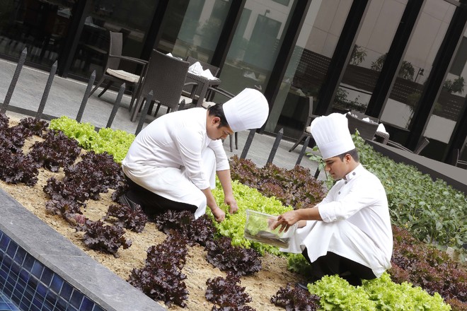 Restaurants are turning their backyards into kitchen gardens