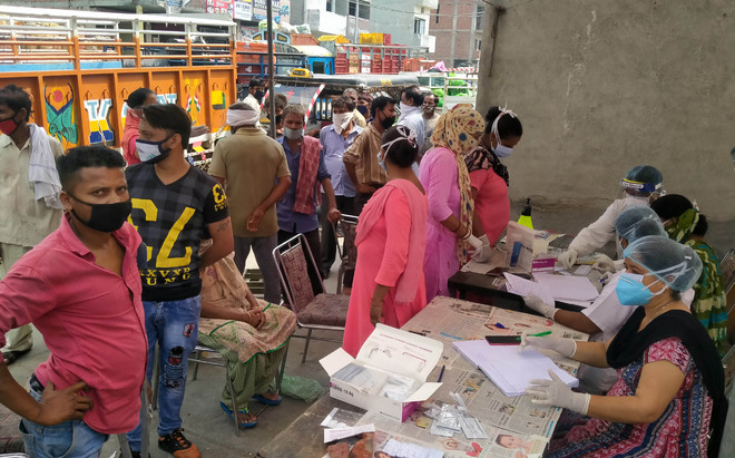 Virus claims 16 more lives, 196 contract disease in Ludhiana