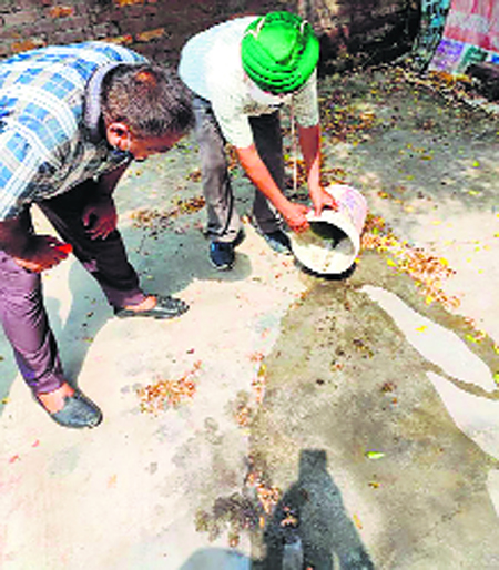 Dengue spreads its tentacles in Patiala district