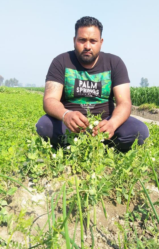 Shahkot farmer on mission to promote organic farming