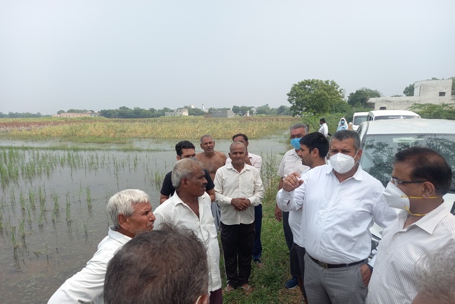 Crop on 1,500 acres still flooded in Palwal