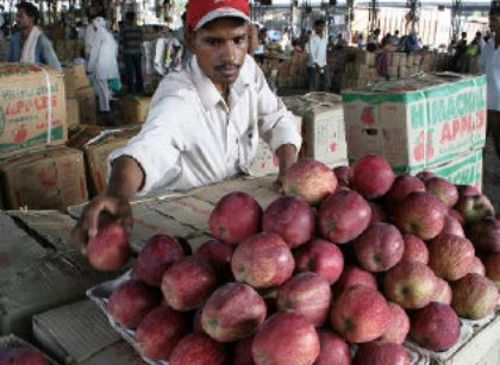 Apple prices fall, growers in Shimla allege manipulation