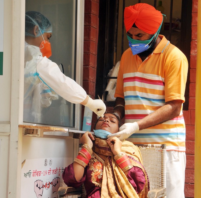 Amritsar district reports 12 deaths, 258 positive Covid-19 cases