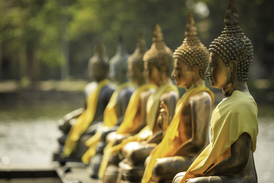 BAM varsity to start courses on Buddhism, Ambedkar