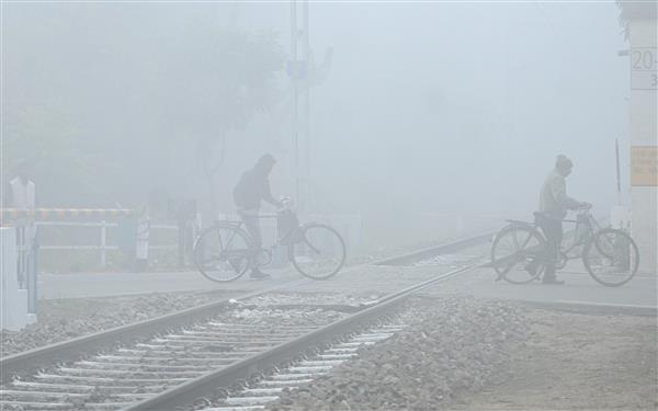 Cold wave conditions persist in Punjab, Haryana