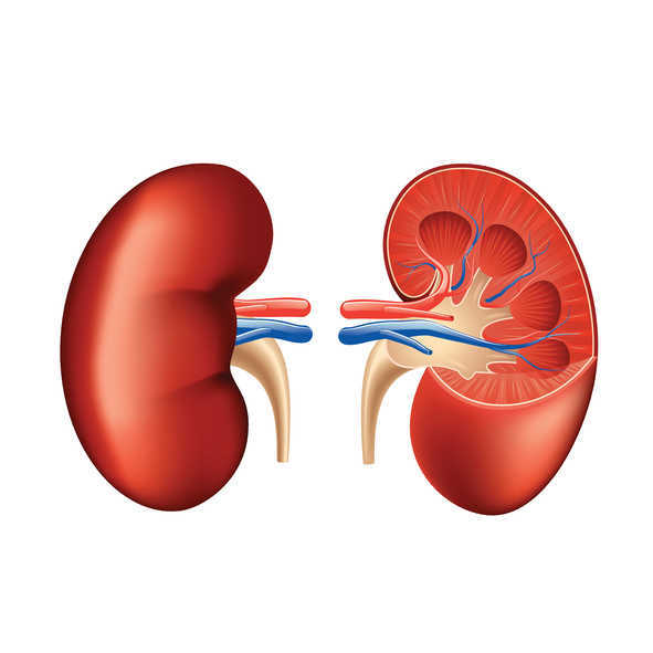CKD: First-degree relative with kidney disease increases risk by three-fold
