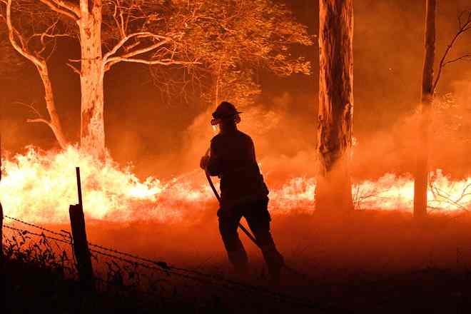 Study finds massive doubts over Australia forests' ability to recover from bushfires