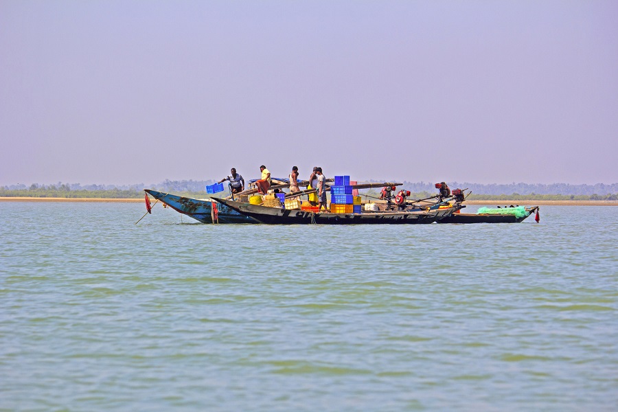 How dolphins are anchoring Chilika lake tourism amid pandemic
