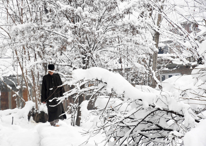 Cold wave intensifies in Kashmir as minimum temperature dips further