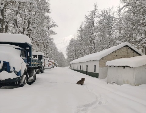 Tourists stranded on Manali highway due to heavy snowfall