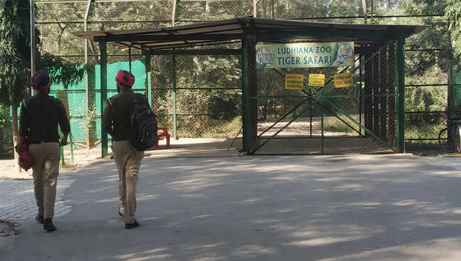 Ludhiana zoo on red alert, special precautions in place