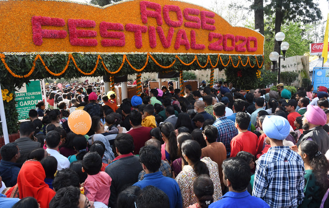 Chandigarh MC to hold symbolic Rose Festival this year