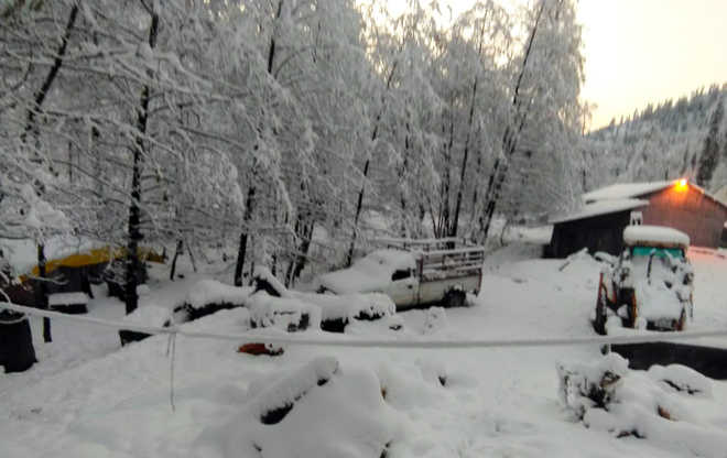 Fresh snowfall in Kufri, Keylong