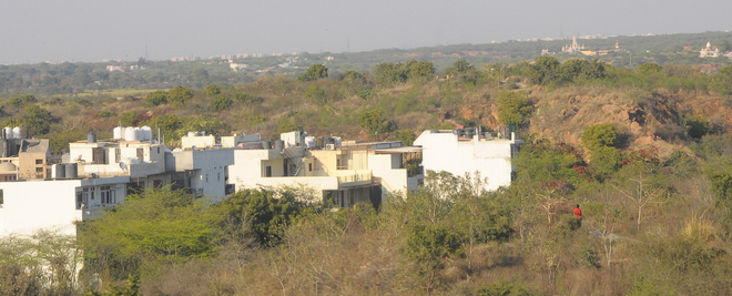 SIC seeks details of illegal buildings in Aravalli area