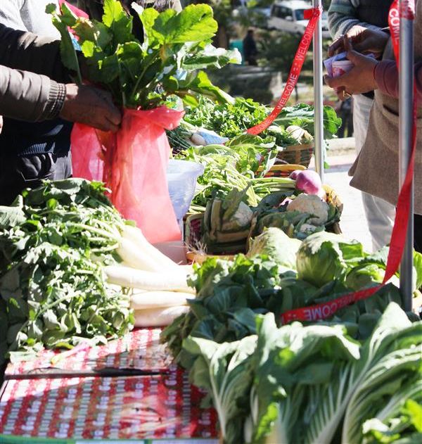 Organic market to promote natural crops
