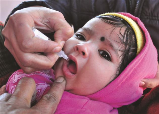 3-day Pulse polio drive from January 17