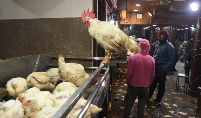 Poultry sales take a hit in city, egg prices dip by 30%