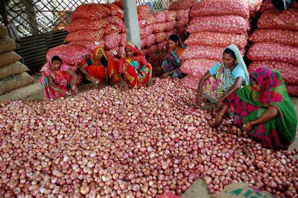Essential commodity prices under weekly watch, onion prices to cool further: Centre