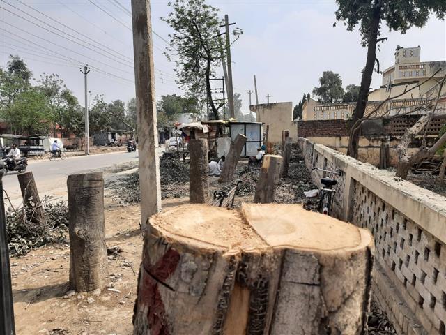 Punjab denies violation of NGT orders in Sangrur