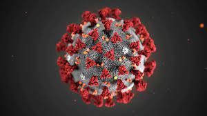 Study: 2-year drop in life expectancy due to Covid-19 virus