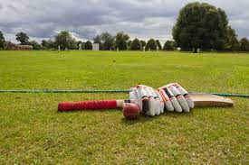 New members of Punjab Cricket Association barred from voting