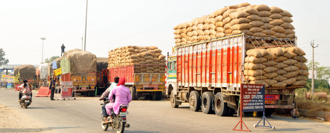 Trucks carrying paddy  from outside seized