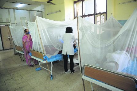 No specialist to treat dengue in Muktsar