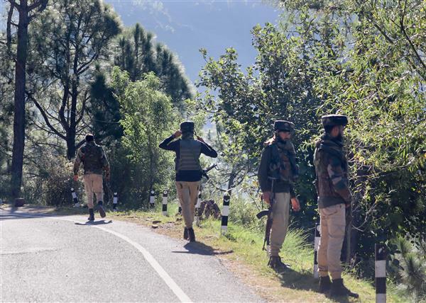 Firing resumes in J-K forest; search operation enters 15th day