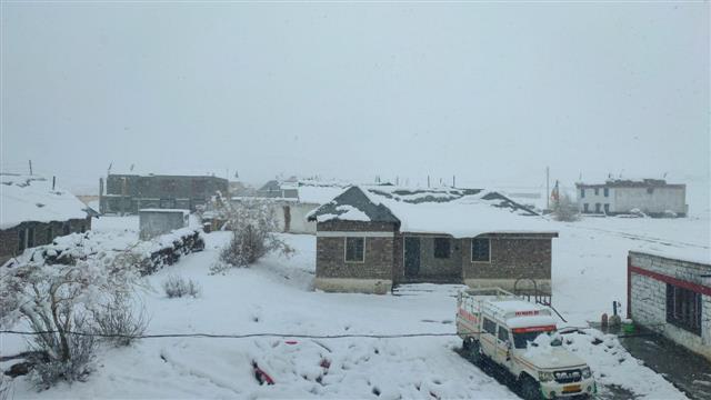 Around 150 tourists stranded at Sumdo due to fresh snowfall in Lahaul Spiti