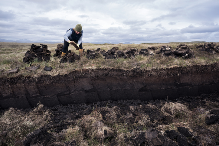 Estonian scientists use peat to make batteries