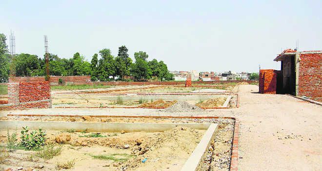 Government, Ludhiana colonisers on warpath