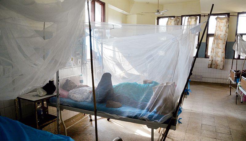 Jalalndhar district sees 33 new dengue cases