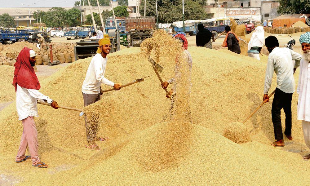Farmers need assured price for sustenance