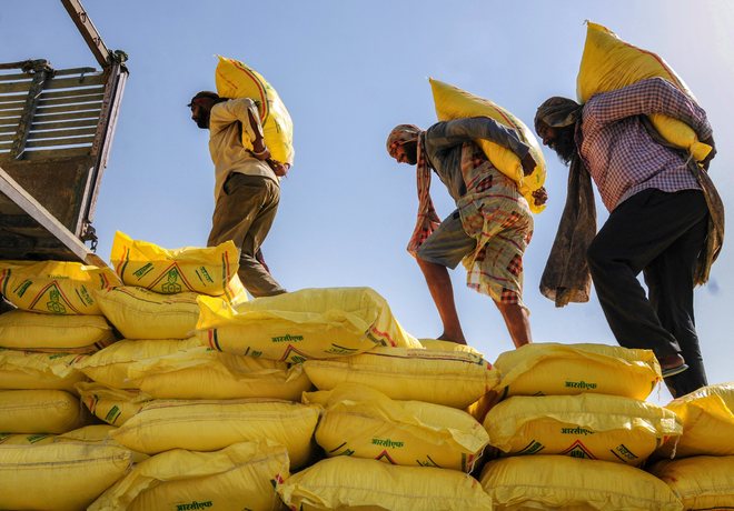 DAP shortage upsets rabi-sowing plans in Haryana
