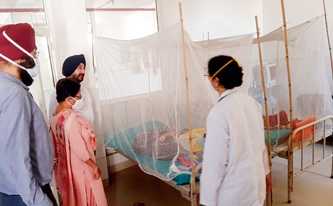 punjab sees 10k dengue cases, 38 deaths in a month