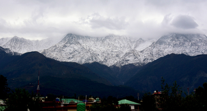Dhauladhars receive heavy snow