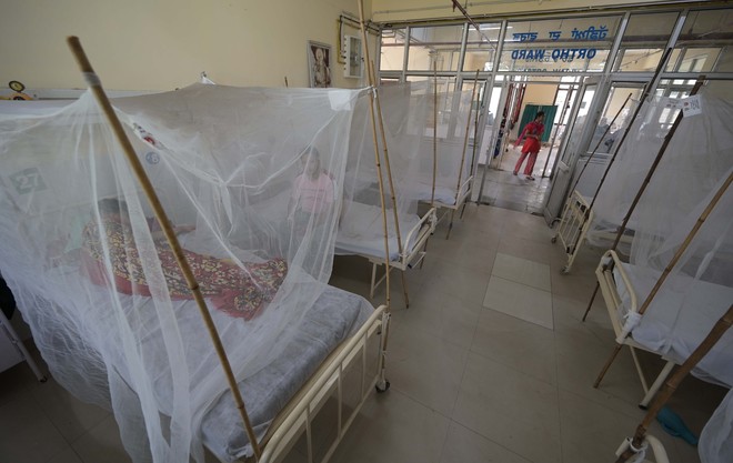 Spurt in dengue cases: Beds fall short in hospitals