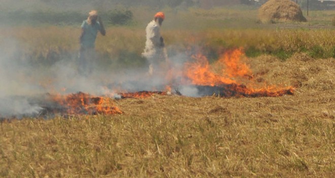 Stubble burning: No action in sight