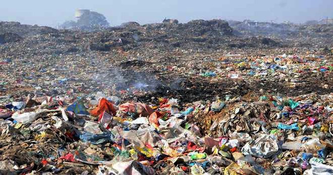 Bioremediation project on garbage dump at Bhagtanwala fails to provide relief to residents