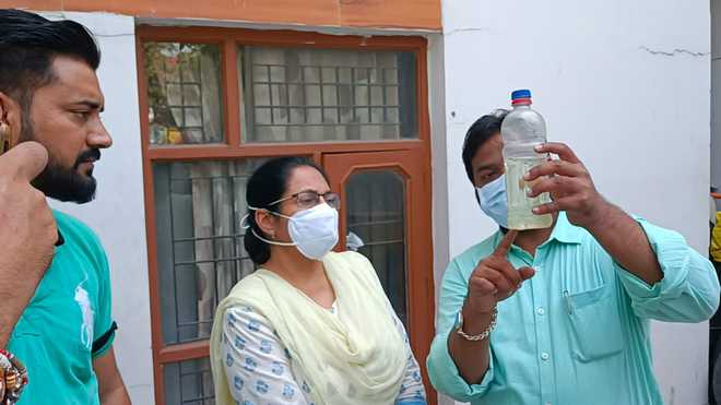 Dengue larvae found at Mohali houses, six challaned