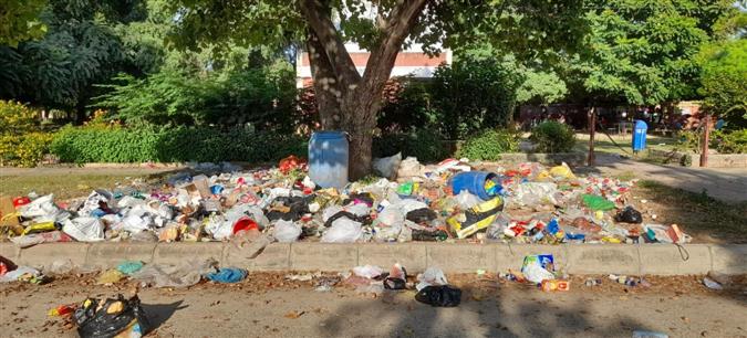 Punjabi University campus turns a garbage dump