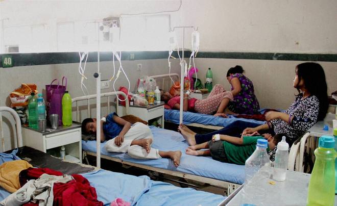 Dengue cases cross 2,400 in Haryana