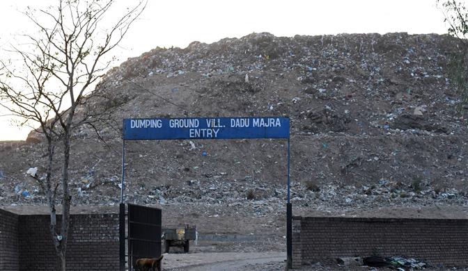 CHANDIGARH MC ELECTIONS: Farmila fails to get dumping ground cleared of garbage