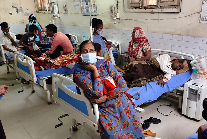 6-yr-old among 4 succumb to dengue in Mohali district
