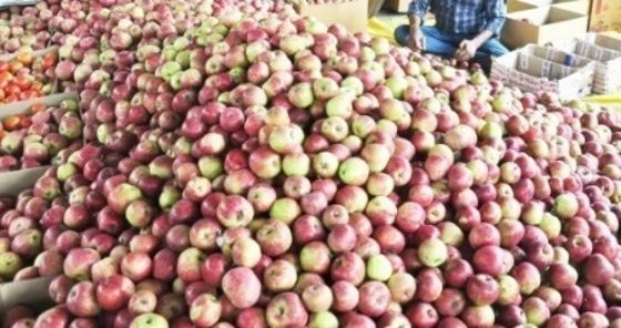 HPMC, HIMFED barter farm items for ‘C’ grade apple